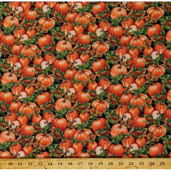 Cotton Pumpkins Pumpkin Patch Fields Fall Autumn Harvest Thanksgiving Turkey Time Black Cotton Fabric Print by the Yard (2396-12)