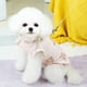thumbnail image 4 of Dinheiro Paquete de 2 Camisas para Perros Camisetas Ligeras de Verano para Mascotas Ropa para Perros y Gatos Camisetas Ropa para Perros pequeños Ropa Masculina Femenina para Perros Ropa Linda para, 4 of 6