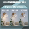 thumbnail image 6 of 6PK 9W Rechargeable Light Bulbs,E26 Emergency Light Bulb with Hook for Daily,Home Emergency,Outdoor Portable Use, 6 of 9