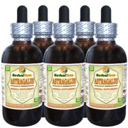 Astragalus (Astragalus membranaceus) Tincture, Organic Dried Root Liquid Extract (Herbal Terra, USA) 5x2 oz