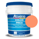 thumbnail image 1 of Cubeta De Pintura Vinilica Lavable Acuario Color Price 19lt - Color Mandarina, 1 of 2