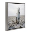 thumbnail image 4 of Stupell Industries Windswept Beach Horse Animals Photography Gray Floater Framed Canvas Art Print Wall Art, 25 x 25, 4 of 10