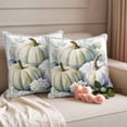thumbnail image 2 of Fall White Outdoor Waterproof Pillow Covers, Thanksgiving Pumpkin Flower Floral Leaf Decorative Square Throw Pillowcase Sofa Cushion Sham for Patio/Couch/Chair, 16"x16" 2 Pack, 2 of 8
