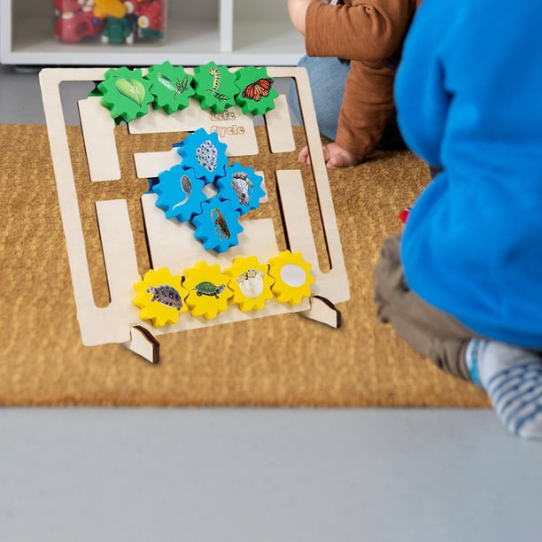 Rompecabezas de madera, juguete cognitivo, entrenamiento del pensamiento, juguete preescolar Montessori, juguete de ciclo de vida para niños pequeños Hugo tablero montessori