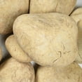 thumbnail image 2 of Niagara Yellow Extra Large 0.65 cu. ft. 7 in. to 14 in. Decorative Boulders (3-Pieces/Covers 0.65 cu. ft.), 2 of 13
