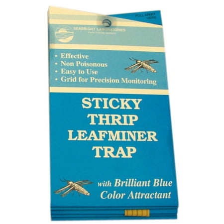 LEAFMINER TRAP 5PK