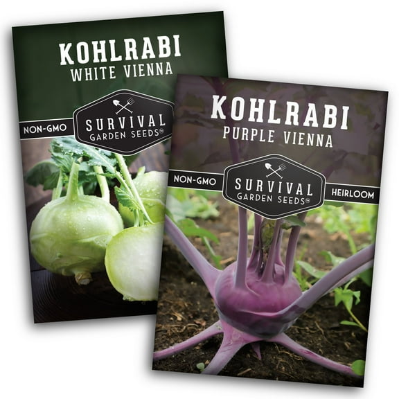 Kohlrabi Seeds - White & Purple Vienna Kohlrabi - Full Sun Biennial Vegetable - 2 Packs