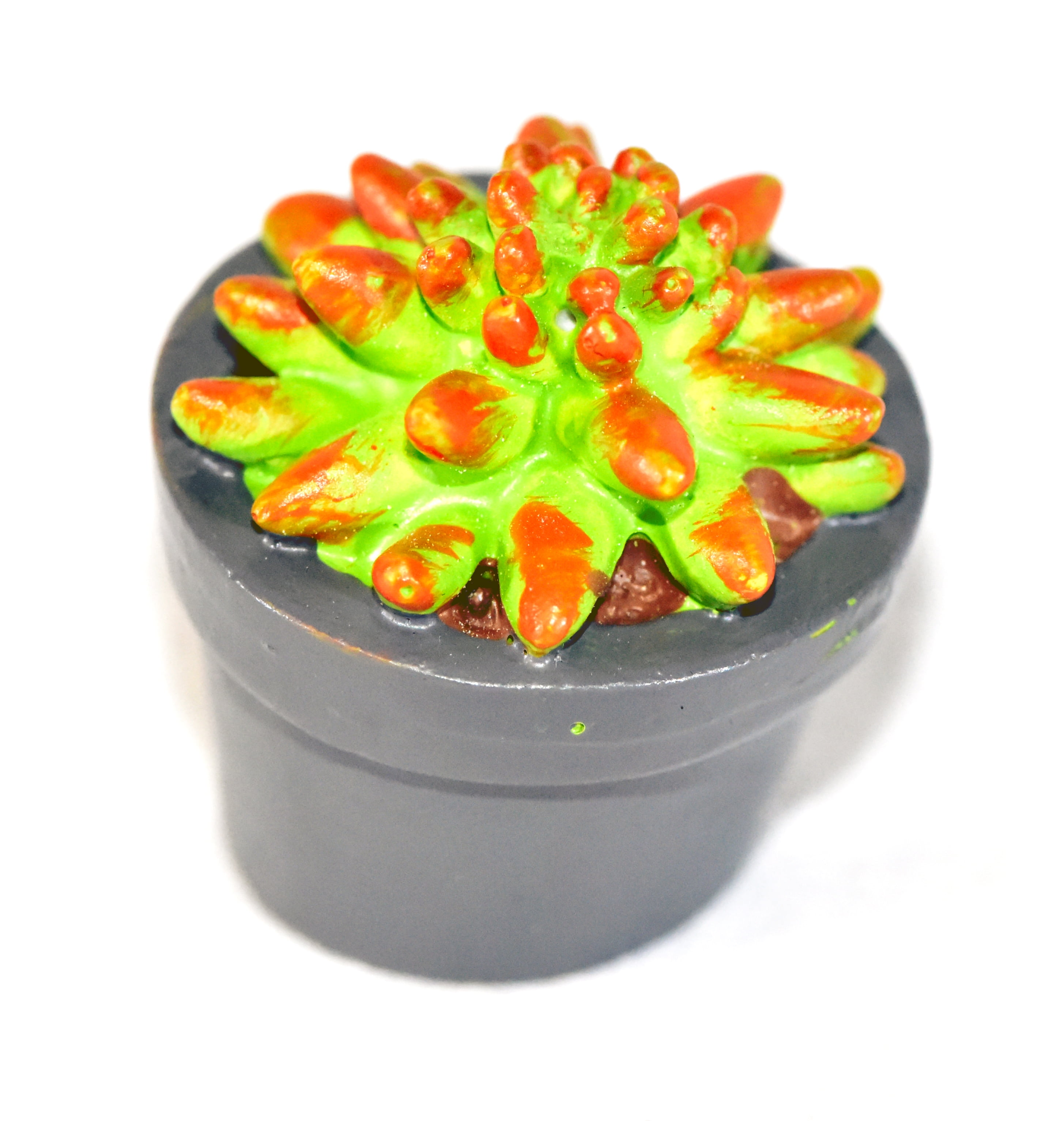 4-Pieces Mini Gardenn Fairy Garden Miniature Succulent Plants Set