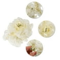 thumbnail image 5 of Unique Bargains 1 Pc Classic Elegant Hair Clips Hairdo Clip for Women 6.30"x5.51"x2.76" Beige, 5 of 5