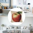 thumbnail image 3 of AppleLinen toss pillowcase decoration pillowcase gifting preferred 18x18 inch cushion cover 4 sets sofa pillowcase sofa bedroom living room car, 3 of 8