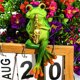 thumbnail image 1 of Adornos colgantes de tortuga con animales musicales, maceteros de resina para jardín, bonitos artículos decorativos, decoración para exteriores, bodas, regalos para festivales, resina, 1 of 8