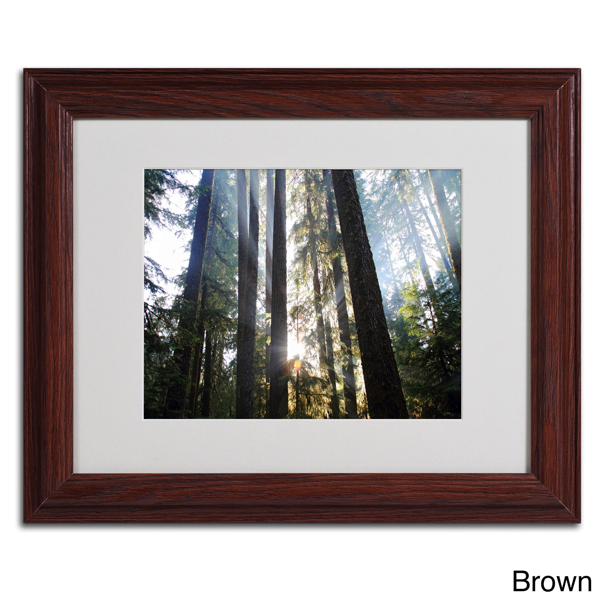 Trademark Fine Art "Sunrays" Matted Framed Art by Pierre Leclerc