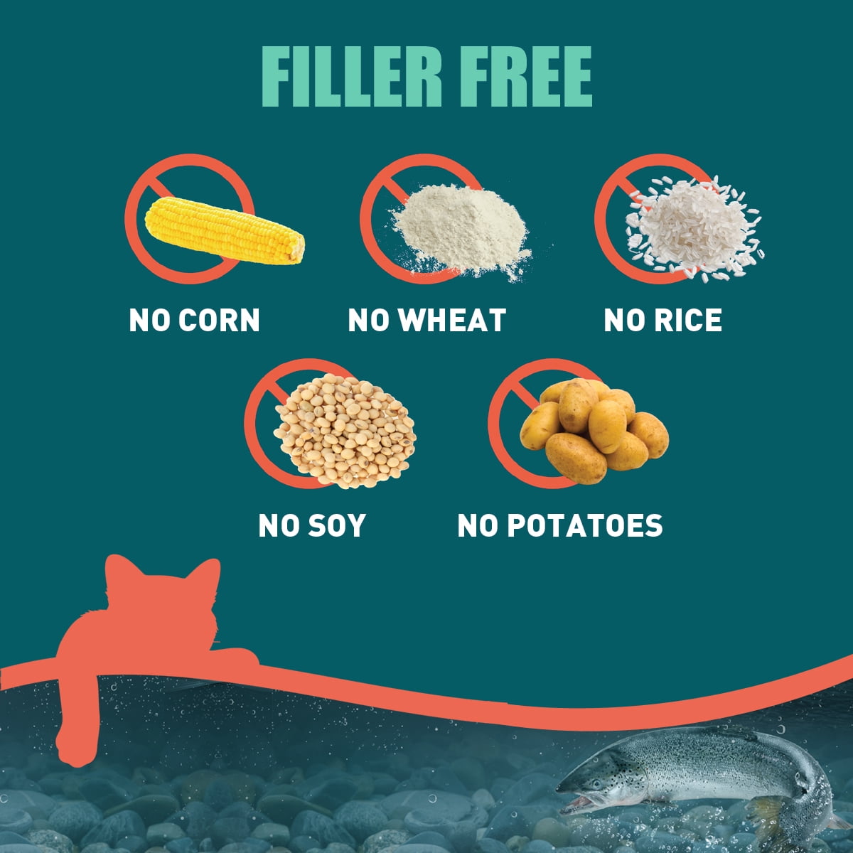 SUPER3+ (Salmon+Freeze Dried Raw Salmon+Salmon Oil) Dry Cat Food | Kitten & Adult | High-Protein | Grain-Free | Allergy & Digestive Support| All-Natural | 10-lbs