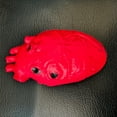 thumbnail image 3 of Realistic Heart Props for Halloween Party Decorations and Scary Pranks Eerie Body Parts Model Haunting House Accessories, 3 of 9