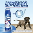 Lysol Pet Odor Eliminator Spray, Sanitizing and Disinfecting Spray for