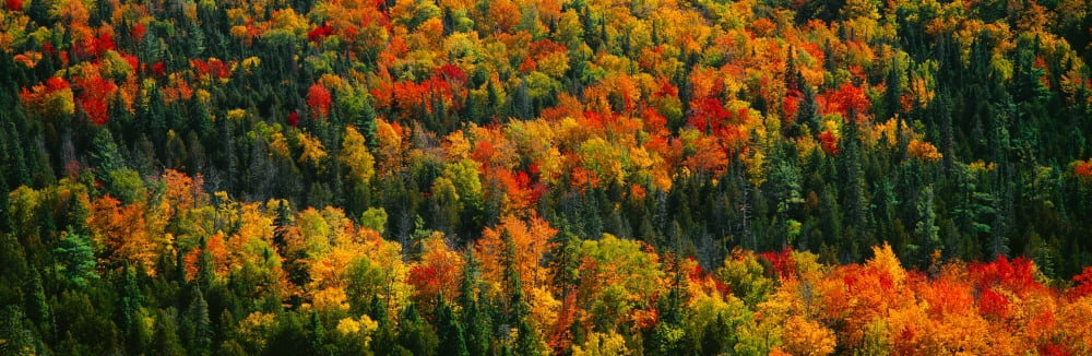 Autumn Color At Por