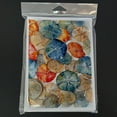 thumbnail image 3 of Sand Dollars Greeting Cards Pack of 8 7 in x 5 in, 3 of 3