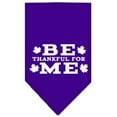 thumbnail image 2 of Thanksgiving Pet and Dog Bandana Screen Printed, "Be Thankful For Me", 2 of 10