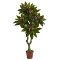 thumbnail image 1 of Nearly Natural 5394 Arbre de Plumeria 5 Pieds Résistant aux UV - Intérieur-Extérieur, 1 of 1