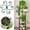 C, variant on Home Storage Clearance Sale, Metal Support Frame Flower Support Frame Green Support Rod Fall Support Frame Stabilizer