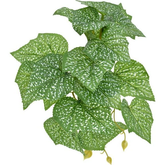 Komodo Reptile 93379 5 in. Standing Spotted Pothos Plant, Green
