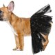 thumbnail image 4 of BEADCEST Falda De Tul Negro Para Mascotas Con Inspirado En Fiestas Europeas Y Ajuste Cómodo, 4 of 6