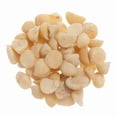 thumbnail image 7 of Bulk Macadamia Nuts 25 Pound Wholesale Box, 7 of 7
