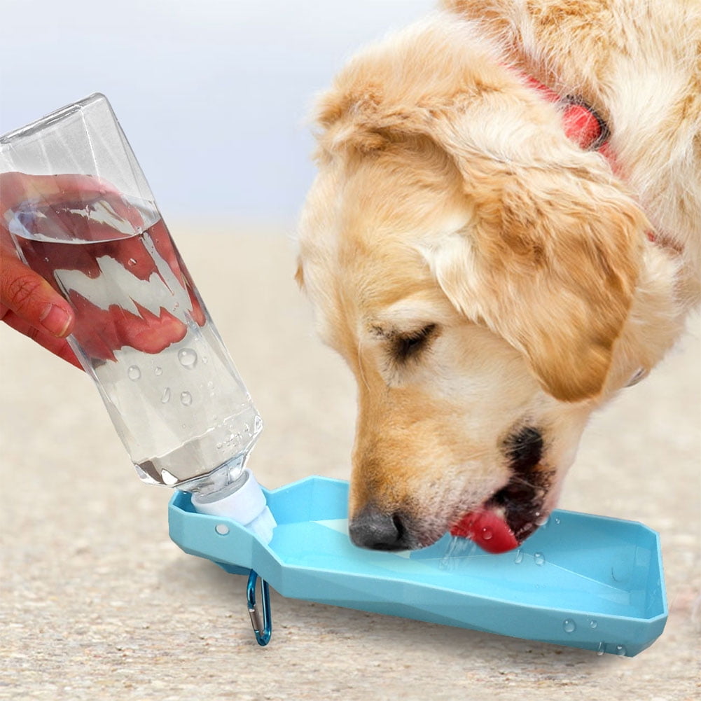 dog travel water bowl bottle