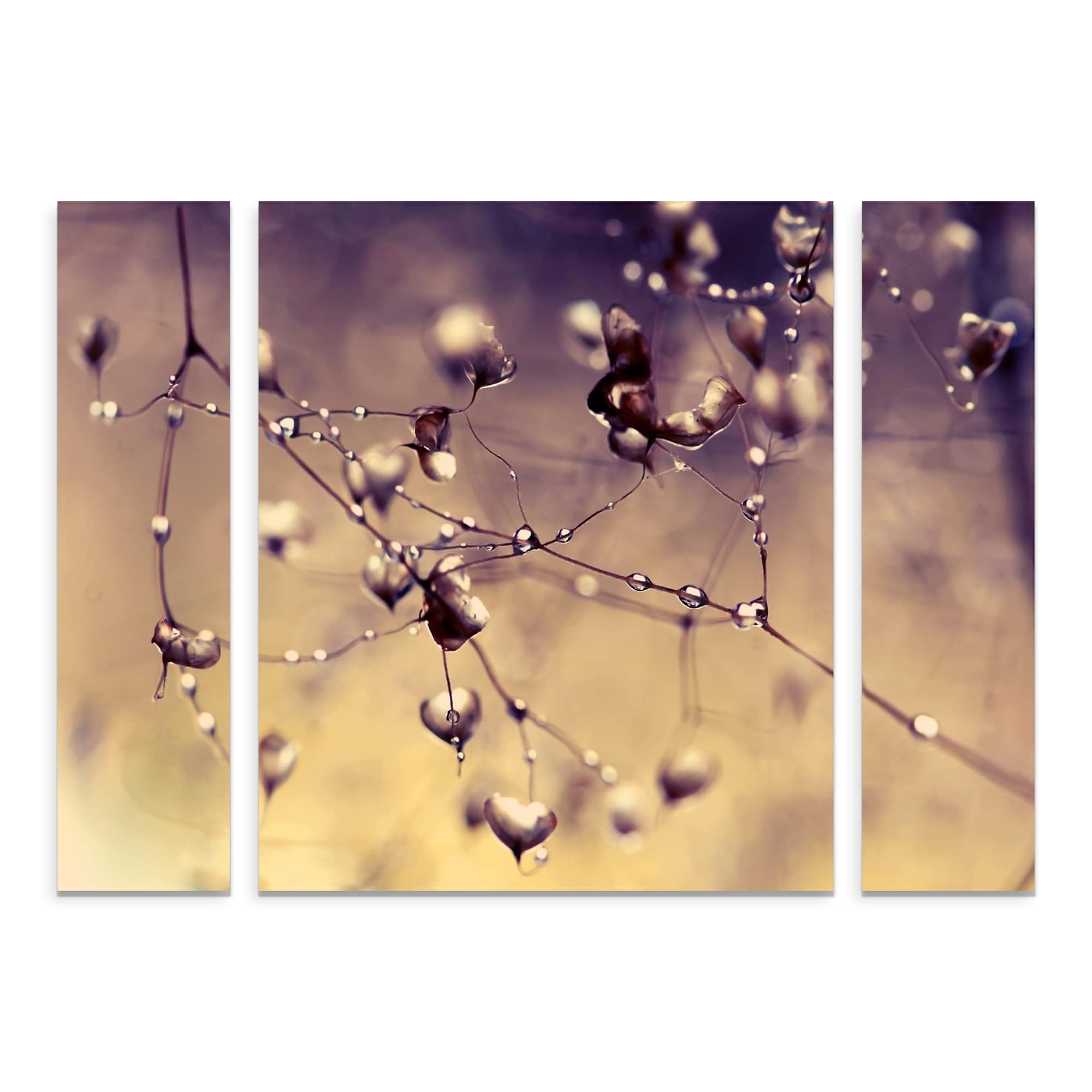Trademark Fine Art 'Blues in the Morning' Multi-Panel Canvas Art Set by Beata Czyzowska Young