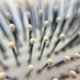 thumbnail image 4 of Monedero ovalado Brush Phillips Brush Light Touch 2, 4 of 6