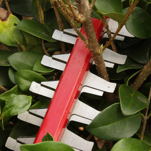 snapper 60v hedge trimmer