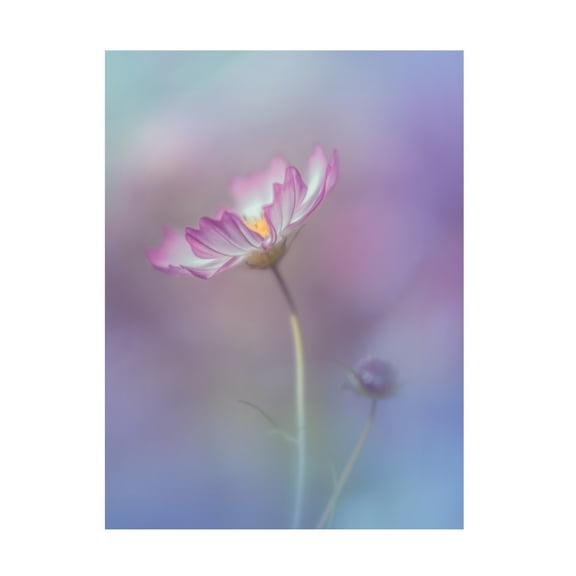 Canvas Wall Art - Miyako Koumura 'Pink Elegance' Wall Art for Living Room, Bedroom, or Office D?cor by Trademark Fine Art - 14 x 19 Inches