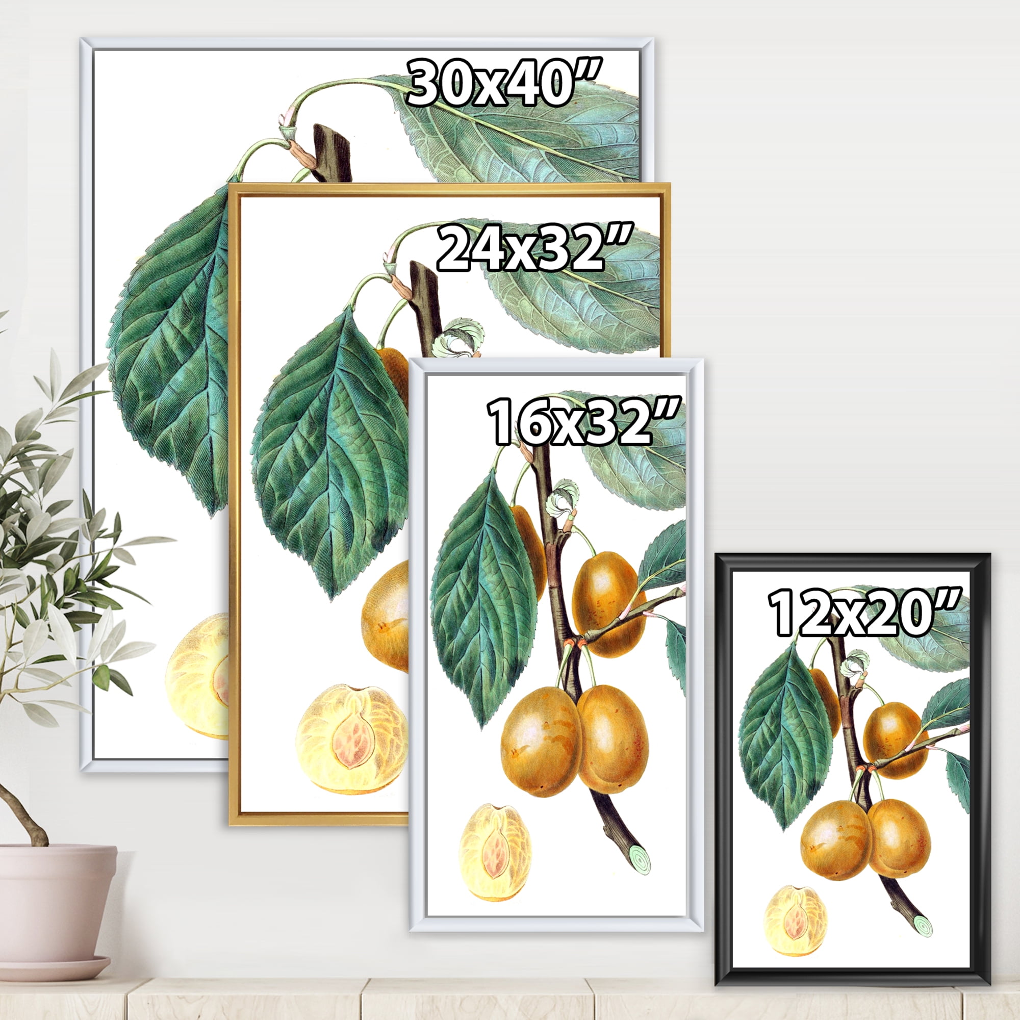 Designart 'Ancient Fruits II' Farmhouse Framed Canvas Wall Art Print