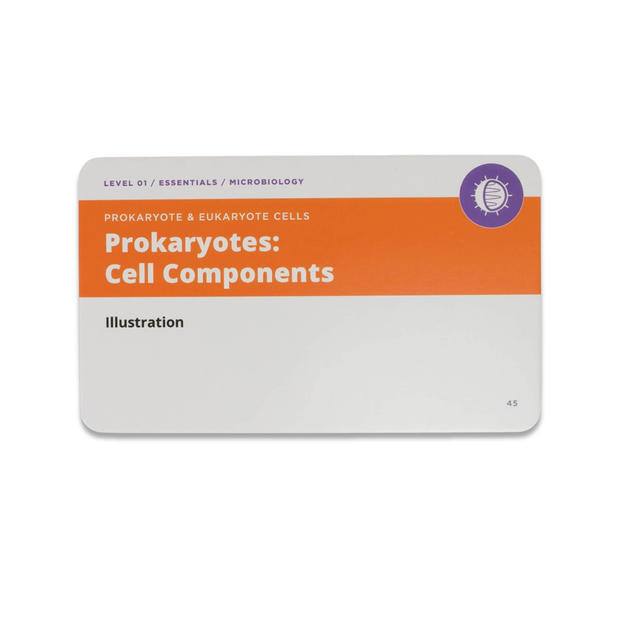 Level UP RN Microbiology LPN RN Flash Cards – Nursing School Essentials for Students (400 Cards)