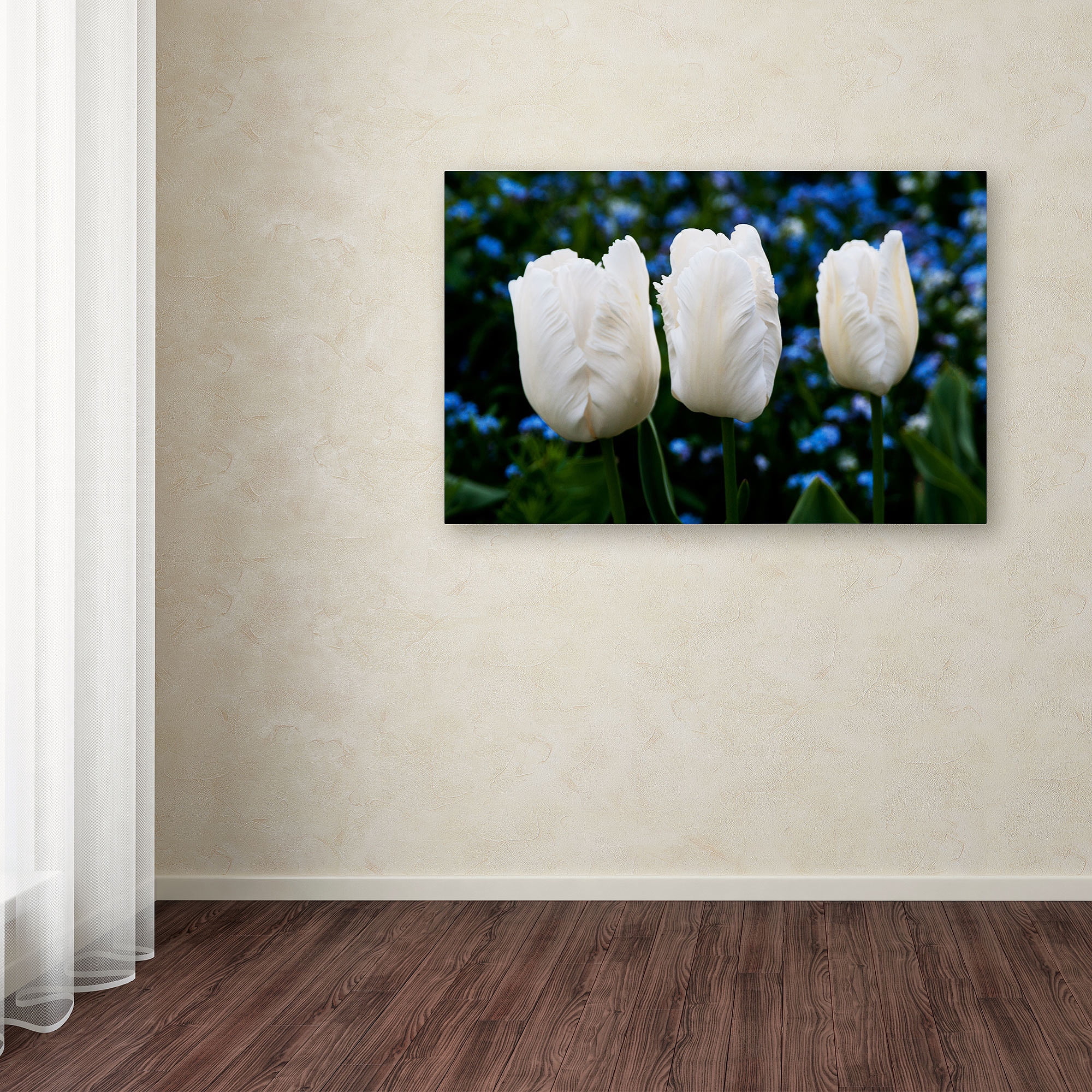 Trademark Fine Art "Three Parrot Tulips" Canvas Art by Kurt Shaffer