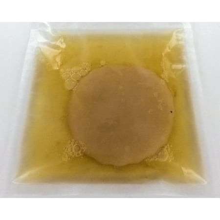 1 X Organic Kombucha Scoby - Live Culture by Scoby