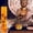 D, variant on TopLLC Responsive Incense Roll Money Incense Household Buddha Offering Incense Sandalwood Incense Guanyin Bodhisattva Incense Buddha Family Incense