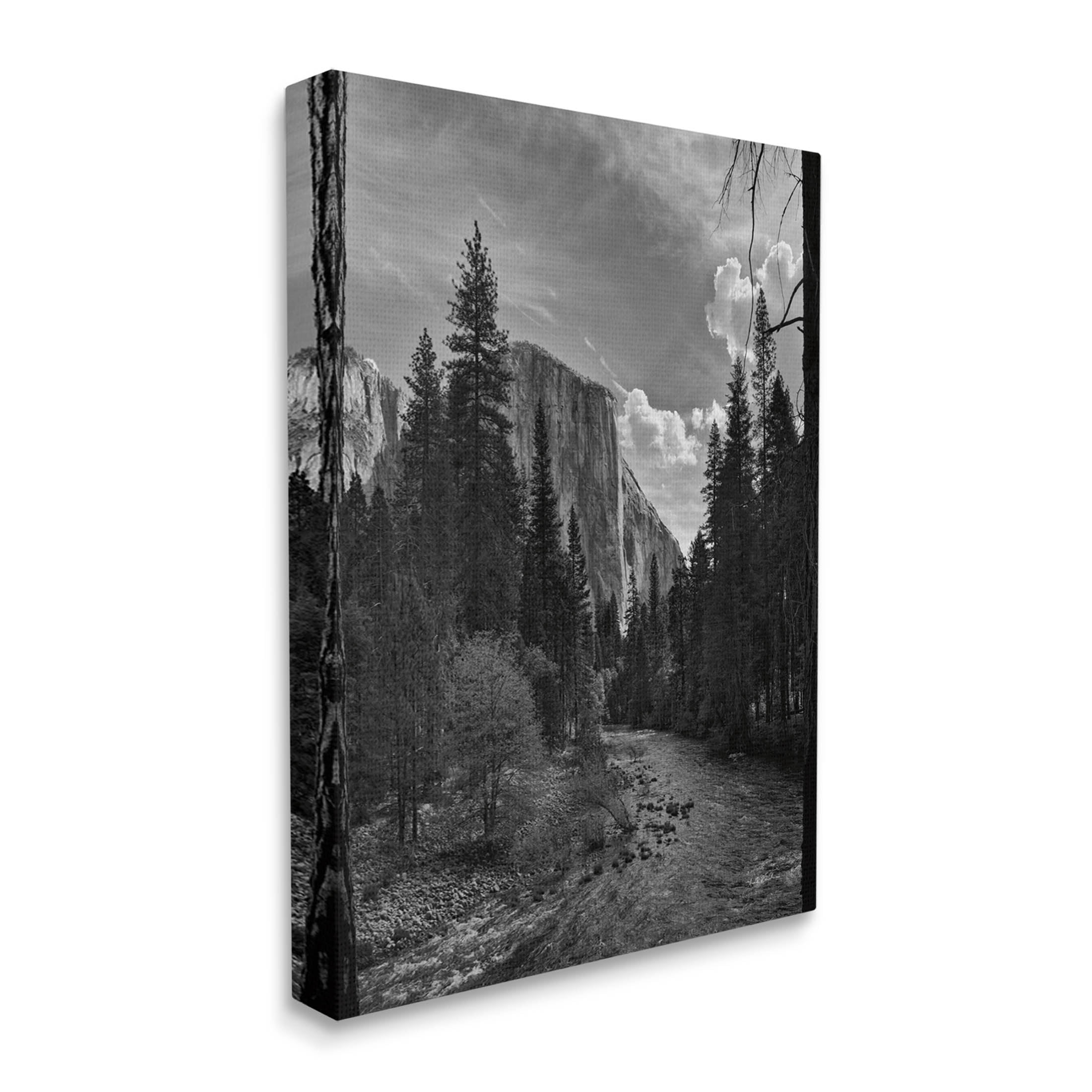 Stupell Industries Yosemite Park Nature Scenery Photograph Gallery Wrapped Canvas Print Wall Art, Design by Andre Eichman