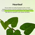 thumbnail image 3 of Kit de cuidado de la piel Abib Heartleaf Calming con 4 productos mini, 3 of 9