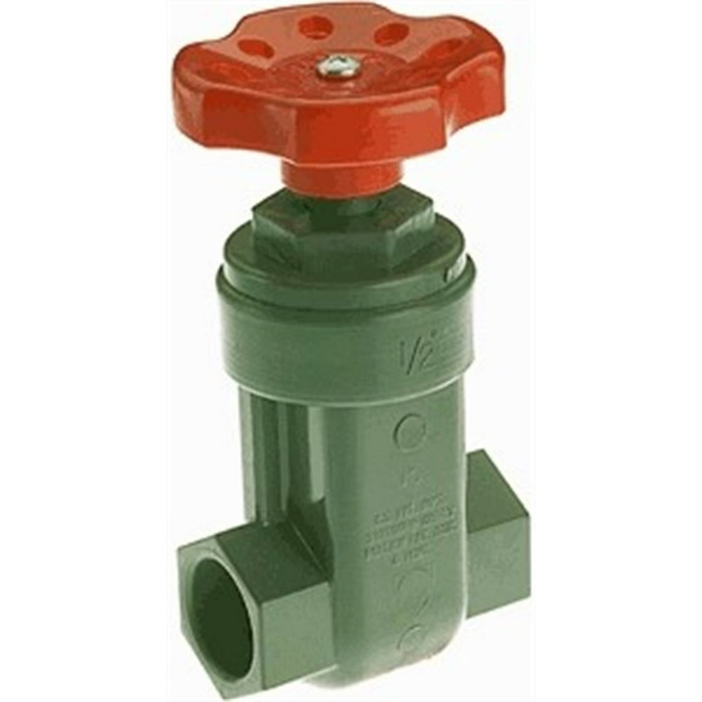 1CNR4 Gate Valve, 3/4 In., PVC, Schedule 80