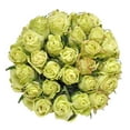 Bloomingmore, Fresh Cut Flowers, Green Roses - 100 Stems - Walmart.com