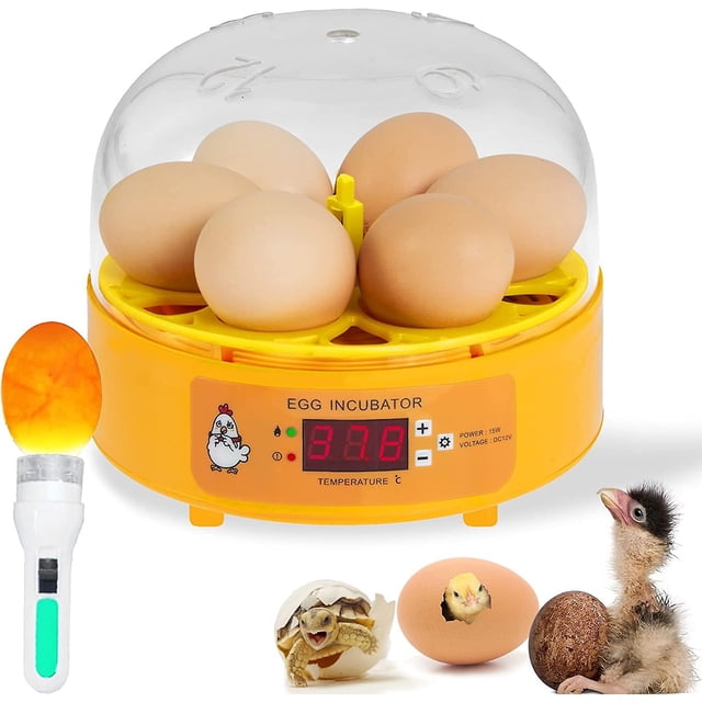 Incubadoras de huevos para incubar huevos, volteador automático de huevos, control de temperatura y humedad, vista clara de la incubadora de huevos, vela de huevos, incubadora de huevos de aves d