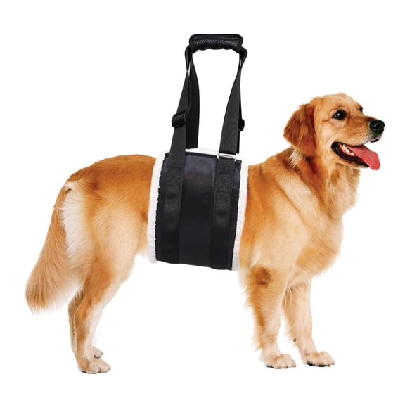 GASTROPOD Dog Sling for Back Legs,Dog Lift Harness,Magic Tape Dog Sling for Large Dogs Hind Leg Support,Elderly Dog Lifter,Help Canie Hip Arthritis K9 Cruciate Ligament Rehabilitation(Large)