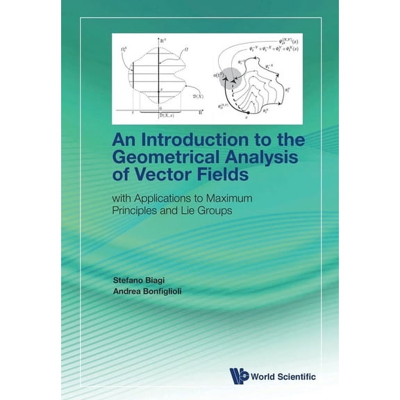 Introduction to the Geometrical Analysis of Vector Fields, (Paperback)