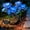 Blue, variant on DAYBETTER Solar Garden Lights with 5 Rose Flowers, 2 Modes, LED Waterproof Outdoor Solar Lights for the Garden Yard Patio Pathway, Blue, 2 Pack