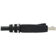 thumbnail image 5 of Tripp Lite Safe-IT DisplayPort Cable Antibacterial Latching Connectors 6ft, Black, 5 of 5