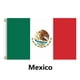 thumbnail image 1 of 2026 Flag, 1 of 5