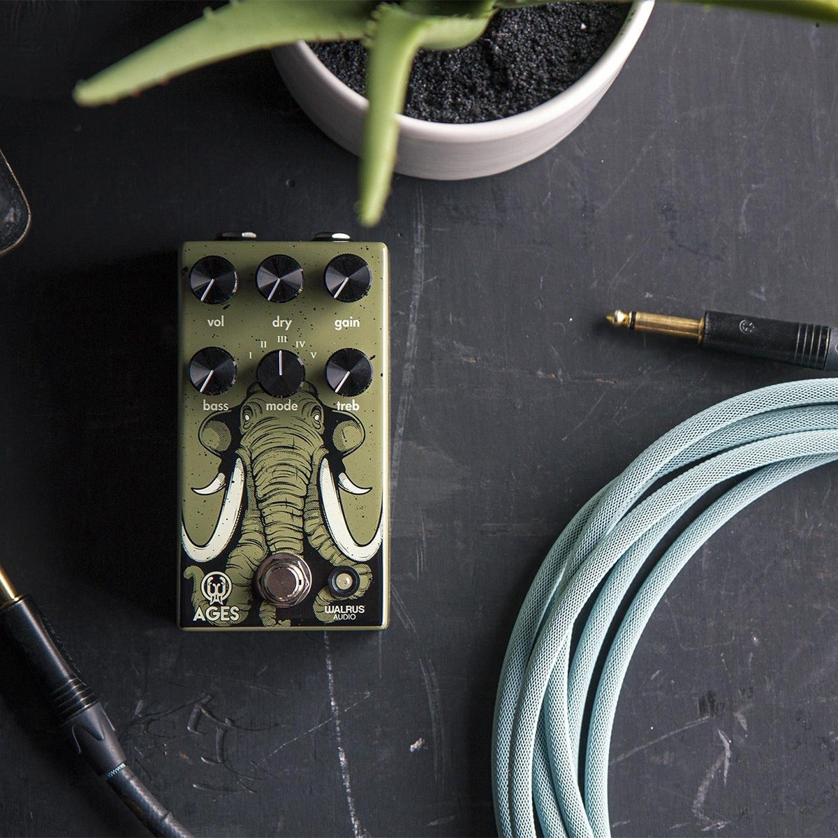 Walrus Audio Ages Five-State Overdrive Pedal