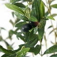 thumbnail image 5 of Faitaliicy 1 Pack 7ft Tall Artificial Olive Tree Ornaments Fake Potted Olive Tree Fake Potted Tree Faux Silk Plant For Home Office Floor Decor And Housewarming Gift, 5 of 8