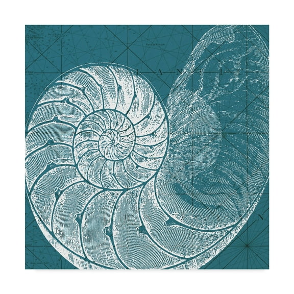 Trademark Fine Art 'Coastal Menagerie VI' Canvas Art by Vision Studio